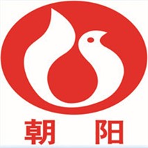 朝陽泵業(yè)QZ軸流、QH混流潛水電泵